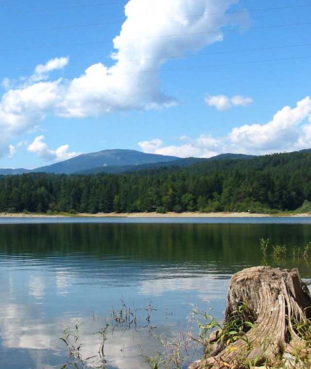 Auf der Forstsee-Runde