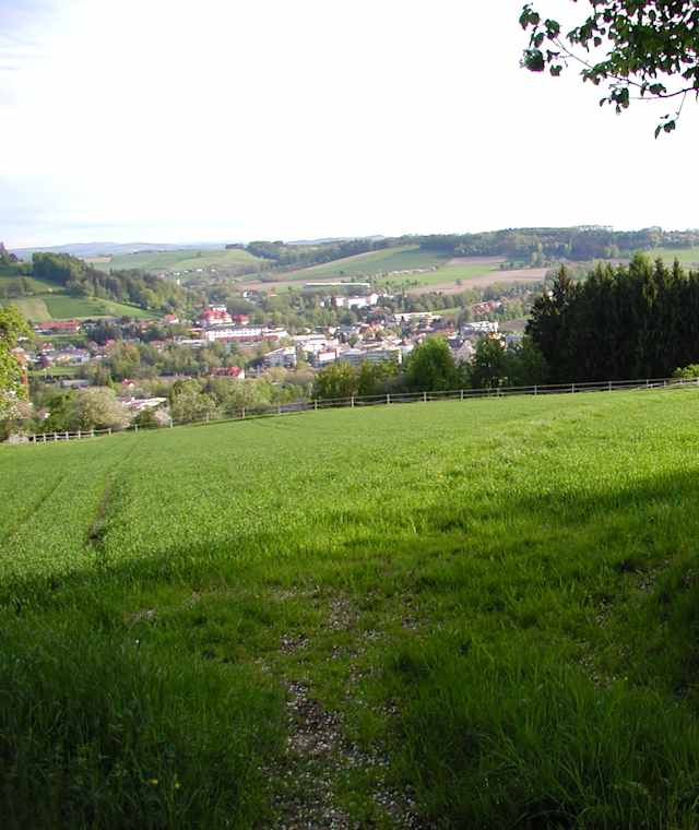 Muellerberg-Runde