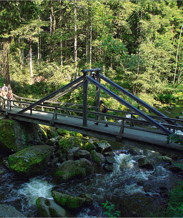 Frankenwald