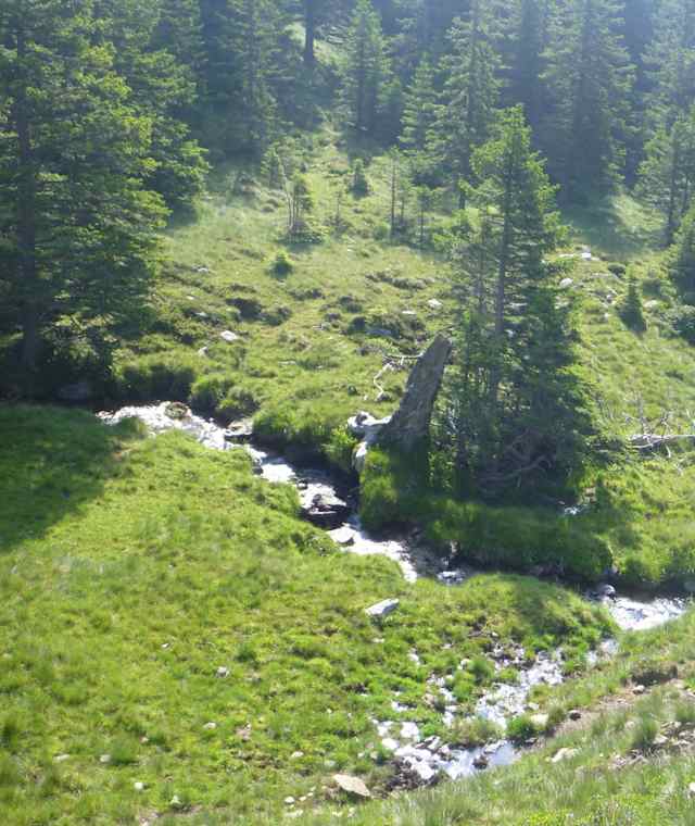 Wasser das Gold Kärntens