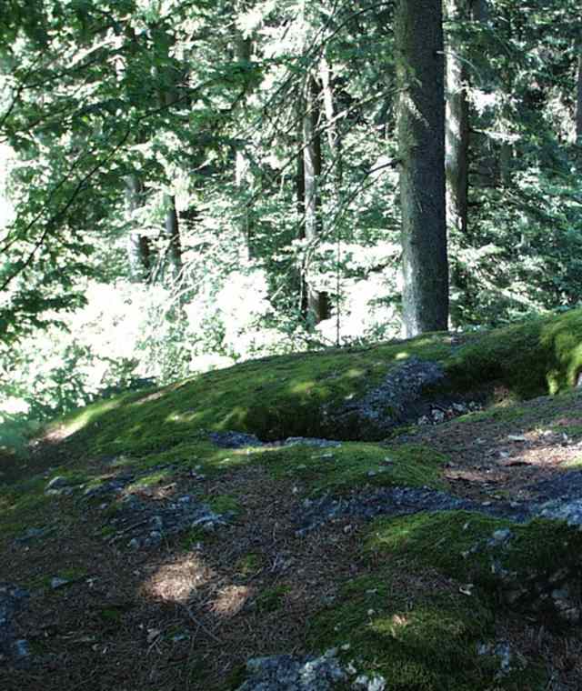Felsblock mit zwei Mulden