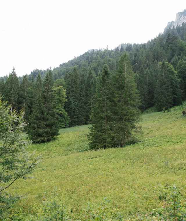 Rund um die Fritz-Putz-Hütte