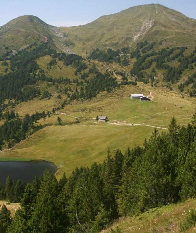 Schnabelspitz
