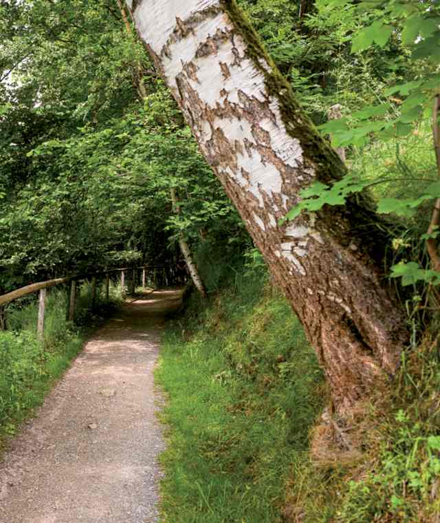 Gadaunerer Schlucht