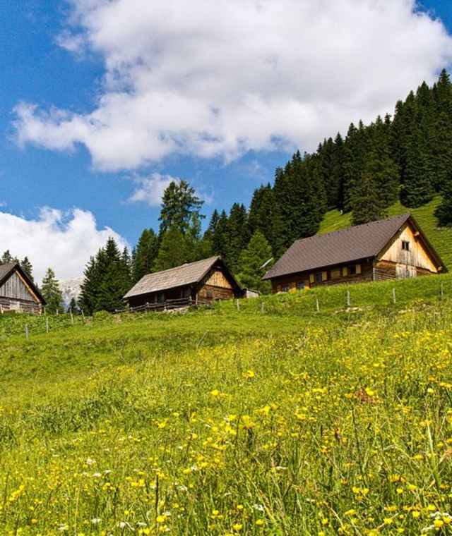 gammeringalmen-von-der-wurzeralm-