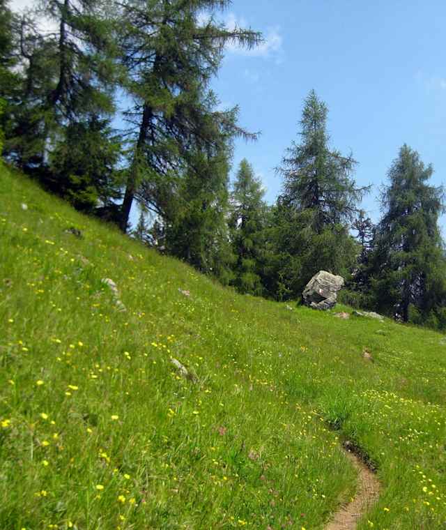 Die Schlotwiesen bei Platzers
