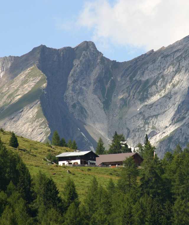Gantasch