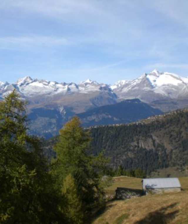 Rundwanderung Gantherwald