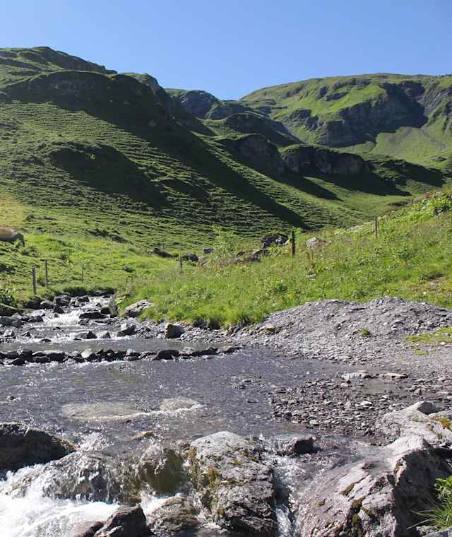 Im Sommer bietet die Höhenwanderung eine riesige, farbige Pflanzenwelt.