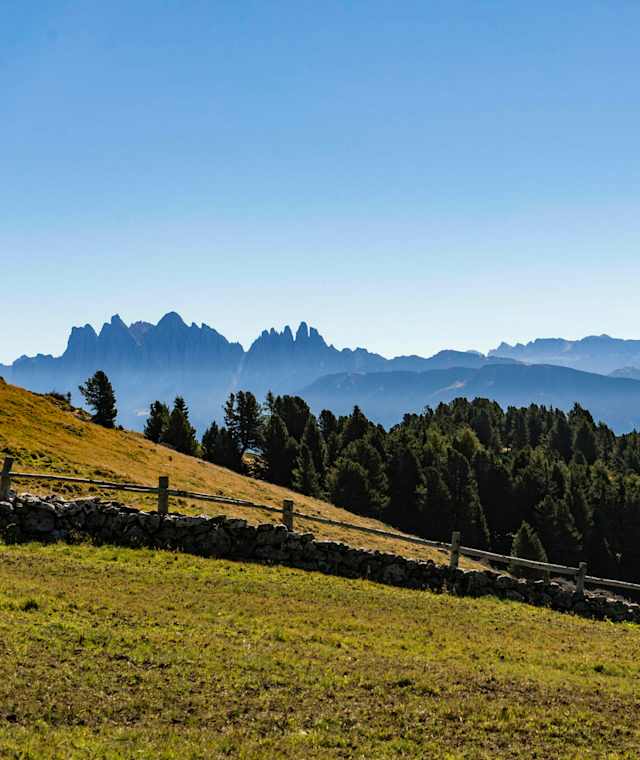 Auf der Feldthurner Alm