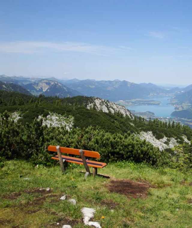 Ausblick