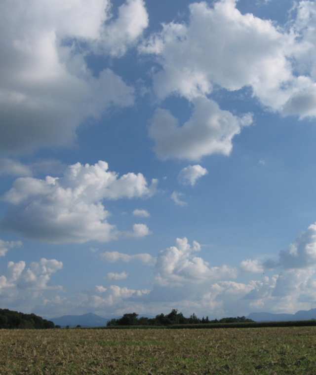 Georgsrunde