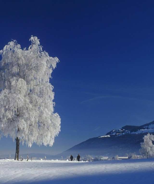 Oberstaufen Winter Thalkirchdorf
