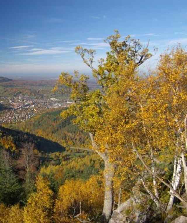 Gernsbacher Runde