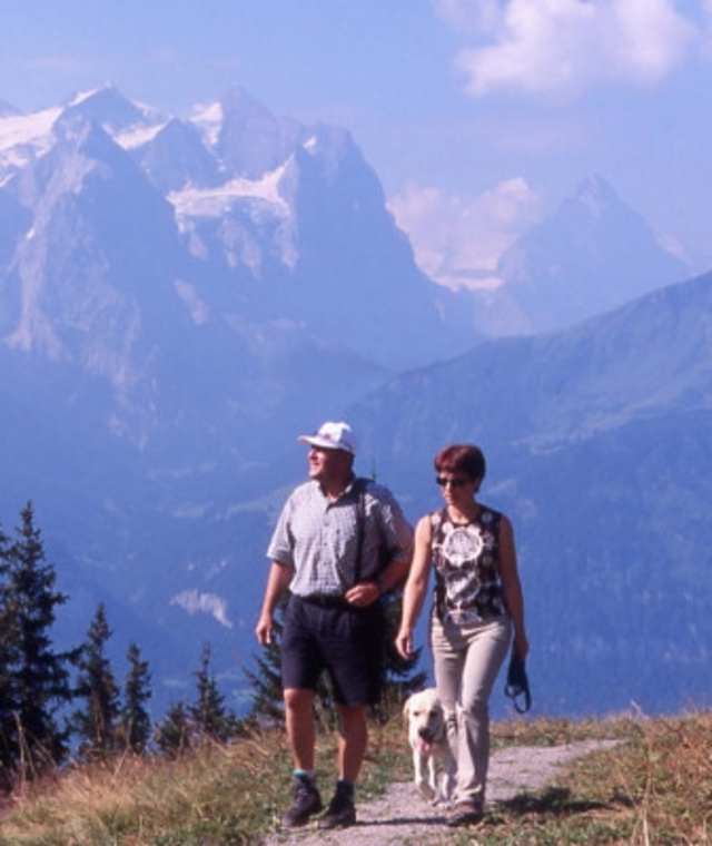 Gibelweg