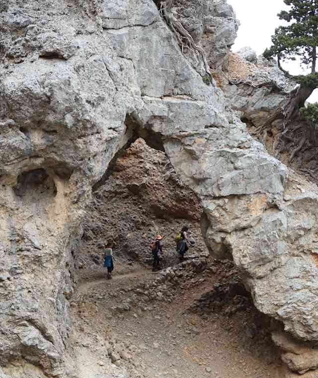 Xepitiras