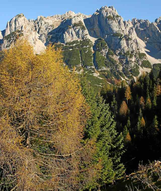 Mandlkogel