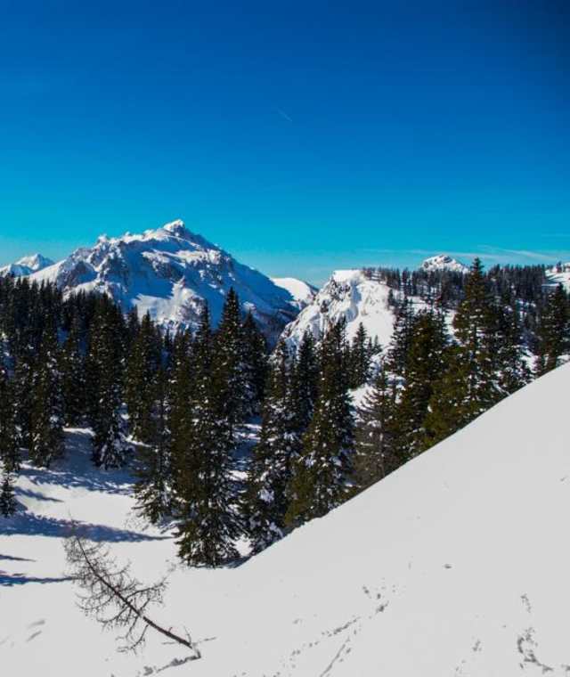 Aufstieg über die Russenstraße mit Blick zurück in die Eisenerzer Alpen
