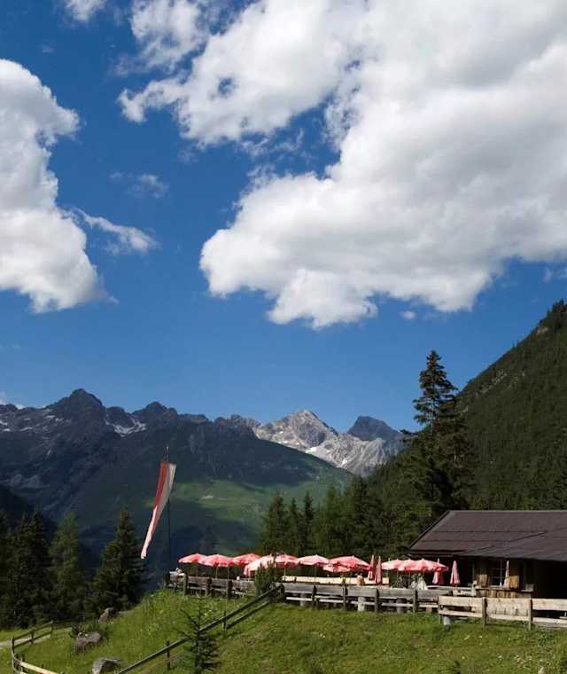 Die aussichtsreiche Grießbachalm oberhalb von Häselgehr im Tiroler Lechtal.