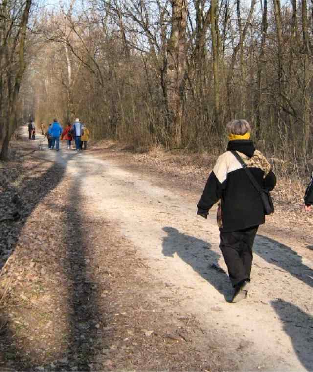 Die Lobau wird durch gut markierte Wanderwege erschlossen. 