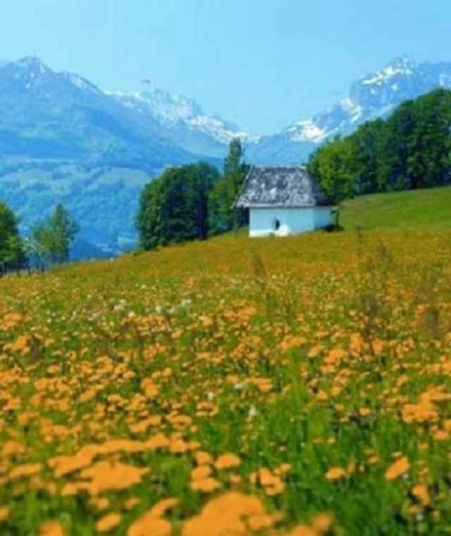 Blick aufs Kaisergebirge
