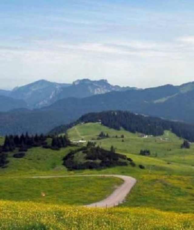 Scheibelberg