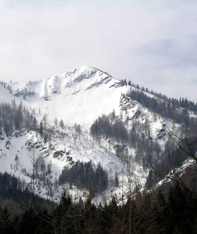 Blick aus dem Hutgraben zum Großen Zeller Hut, in der Bildmitte die Baumgruppe, wo die Querung nach rechts zum Grenzrücken verläuft