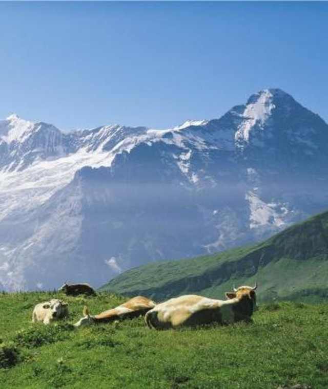 Verschnaufpause zur Grossen Scheidegg