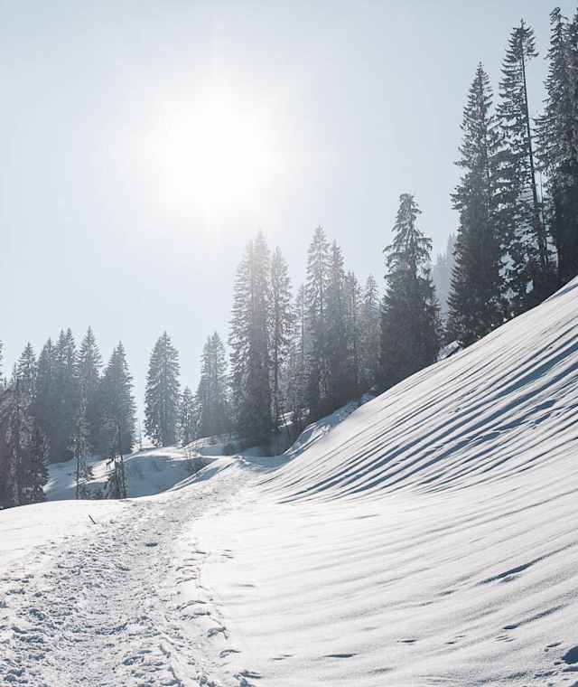 Auf dem Weg zur Grubenberghütte