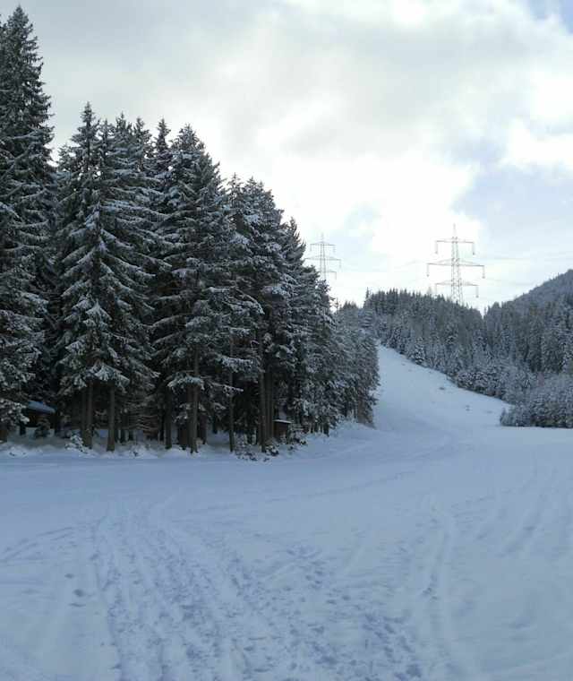 Blick vom Ausgangspunkt