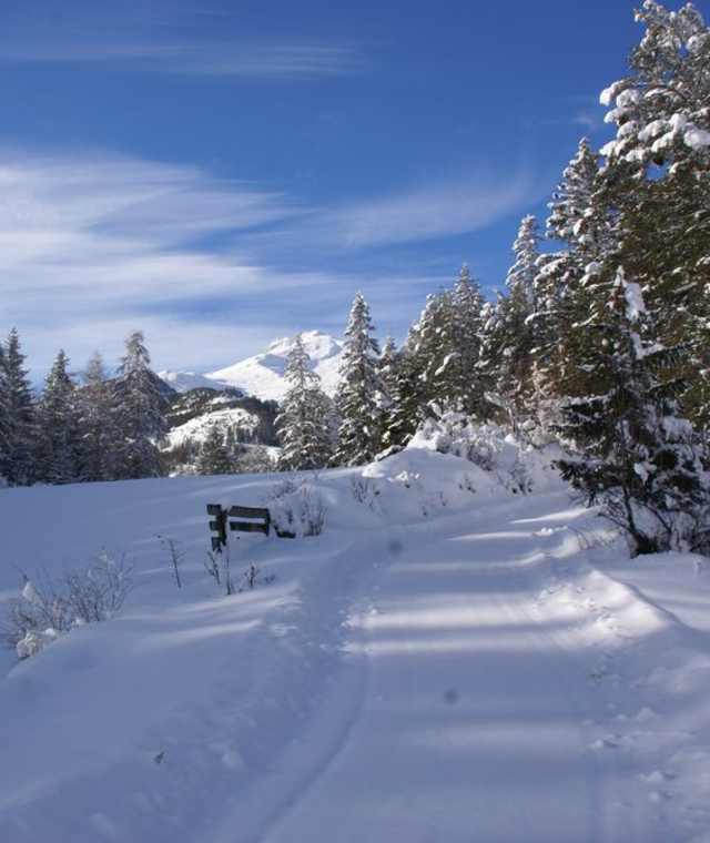 Grüner See
