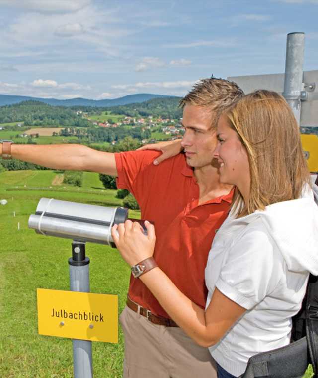 Julbachblick