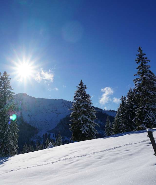 Das Gebiet rund um die Gufferthütte