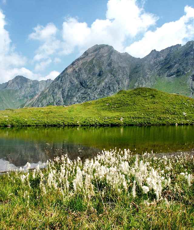 Der Hacklsee im Mühlbachtal