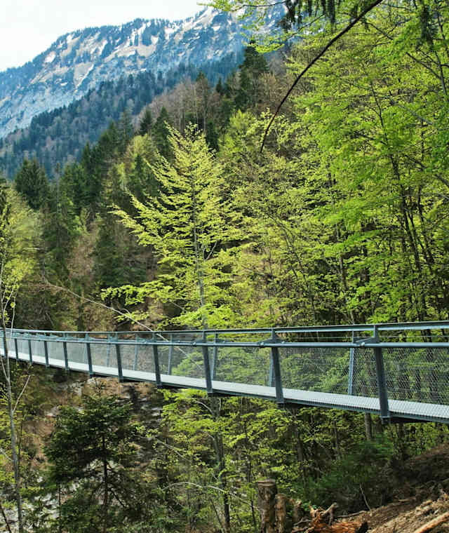 Die Hängebrücke Stoffelberg führt über den Spissibach
