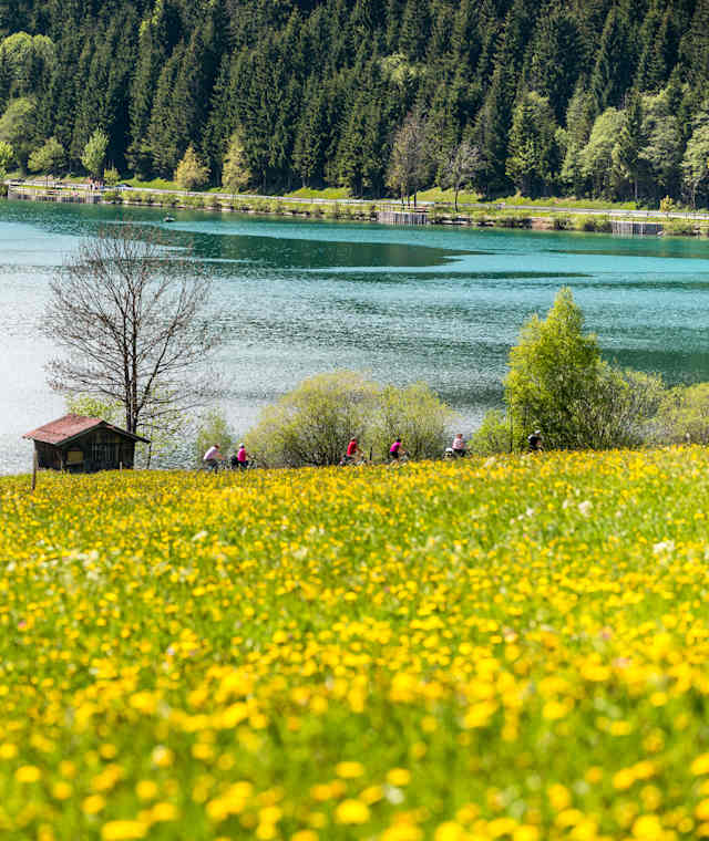 Haldensee