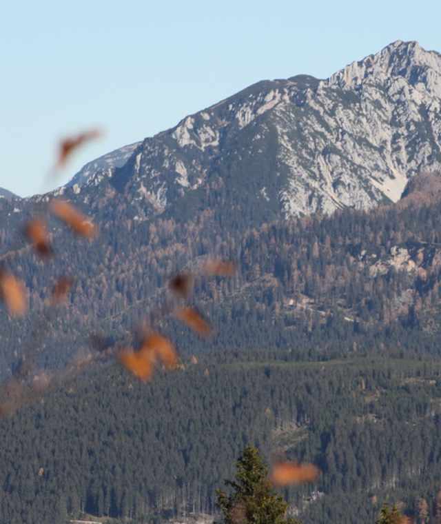 Herrliche Aussichten