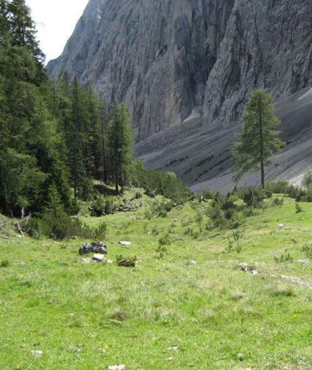 Halltal