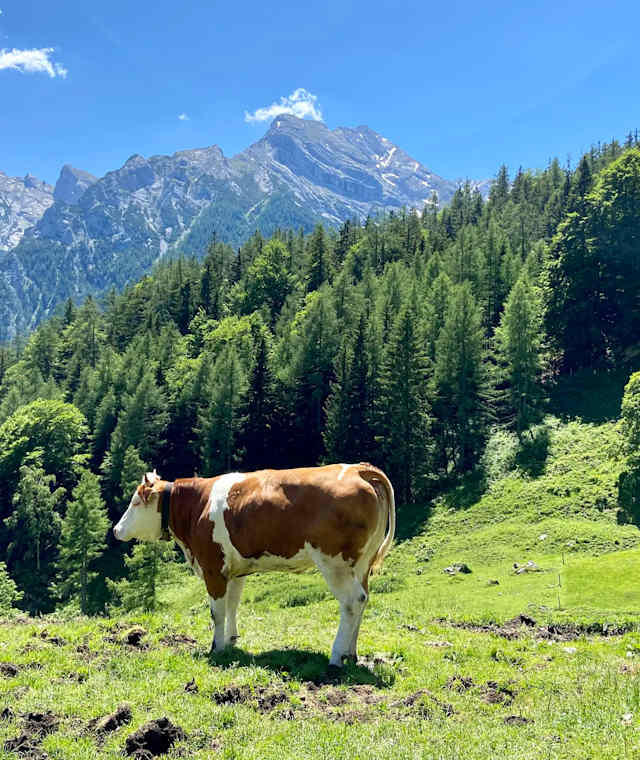 Halslalm