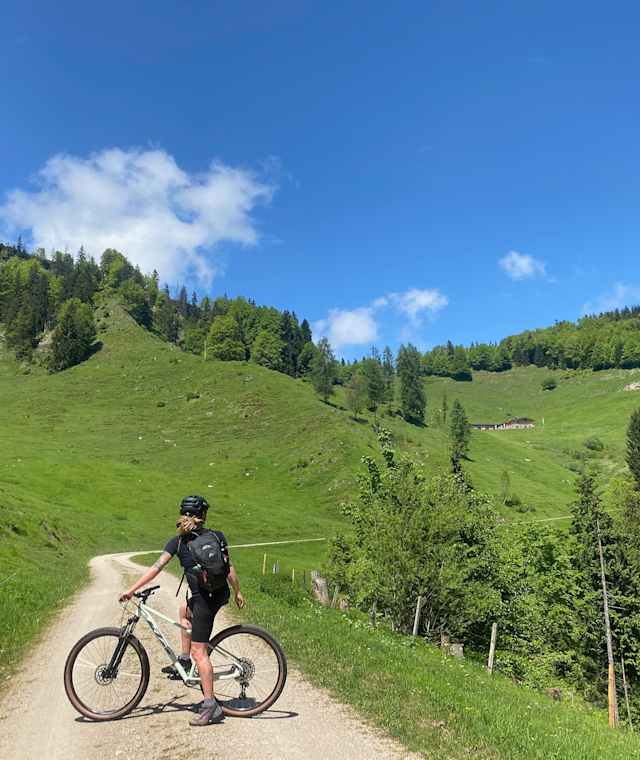 Am Weg zur Haraualm