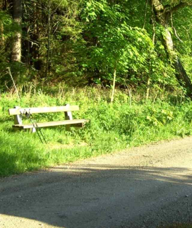 Haubenbergweg bei Sandl