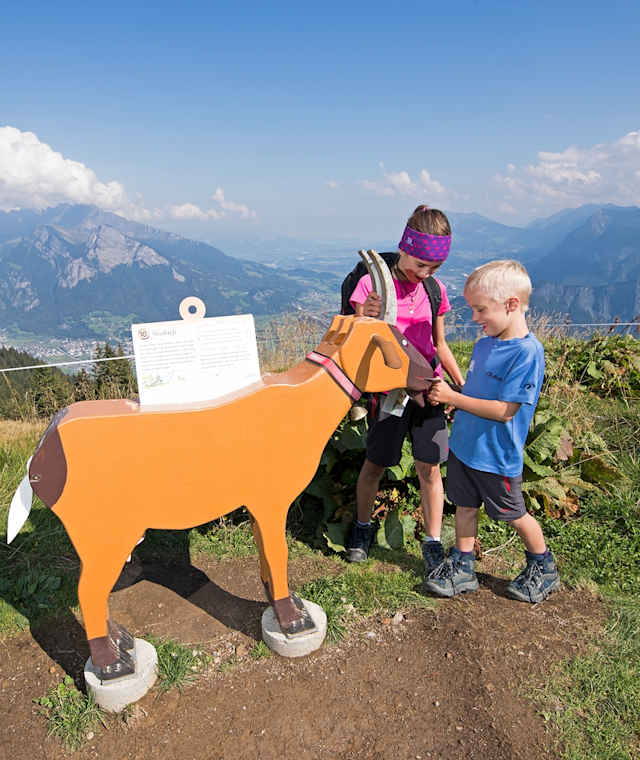 Auf dem gesamten Rundweg verstecken sich hölzerne Geissen.