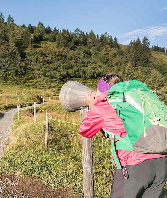 Alpruf auf dem Heidipfad