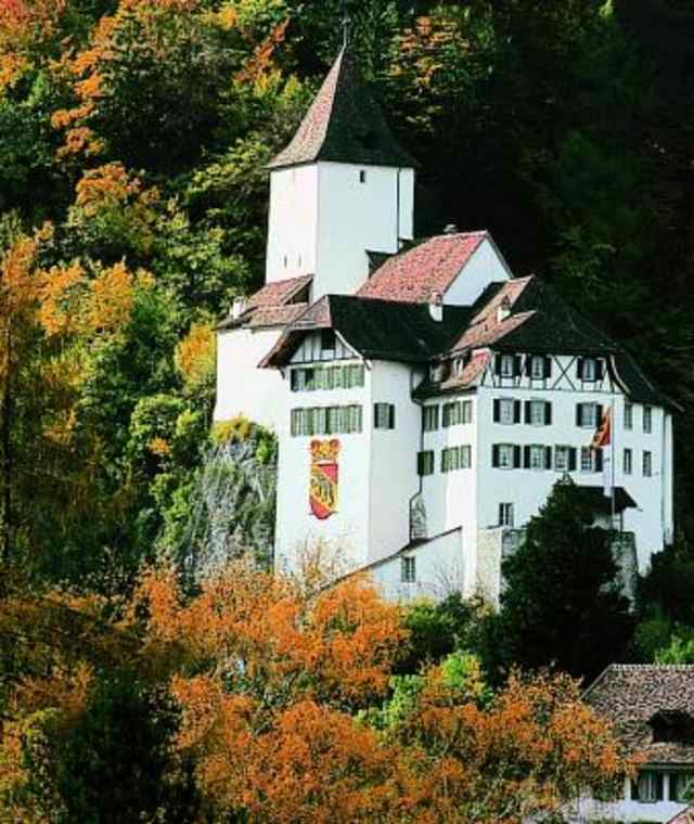 Schloss, Kirche und Pfarrhaus von Wimmis