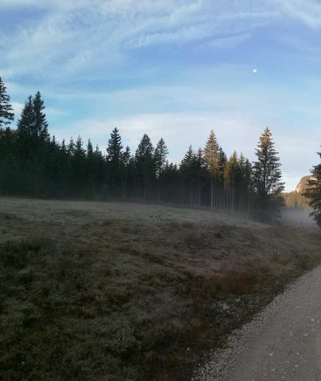 Ein Herbstmorgen im Schönmoos