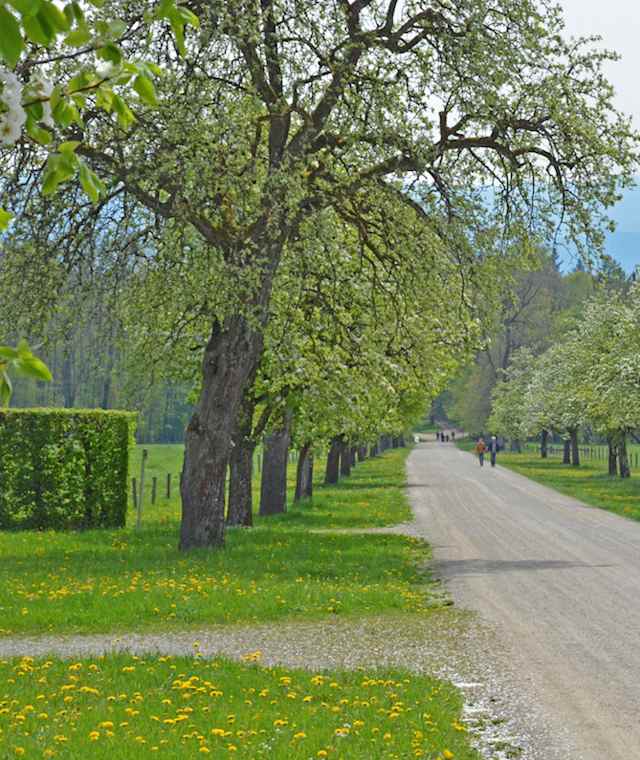 Wandern in Bayern - Chiemgau, Chiemsee