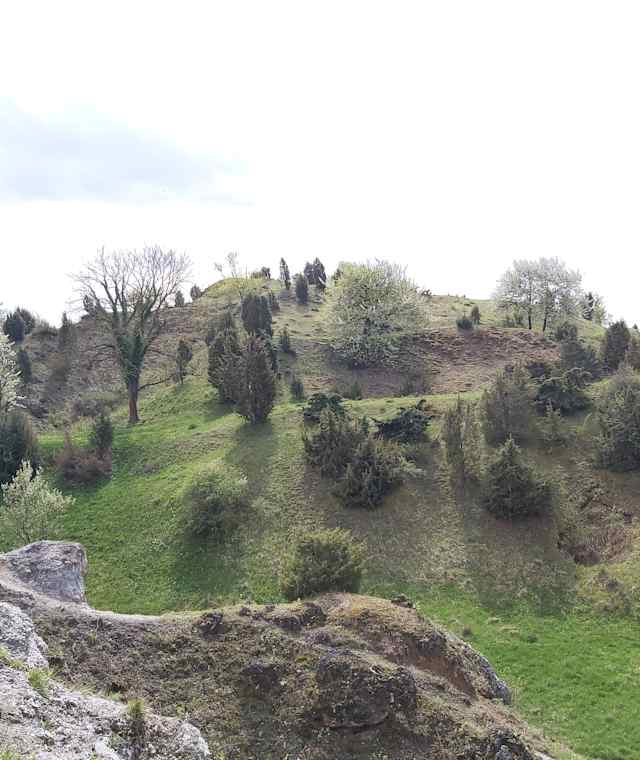 Die Hielöcher – ein Karstegebiet und sehr besondere Landschaft.