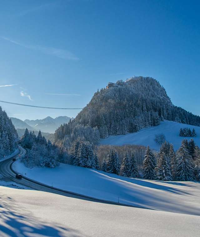  burgruine-ehrenberg-mit-highline179