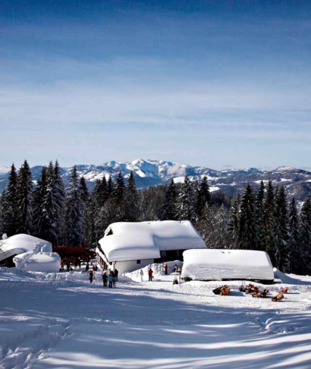 Hindenburghütte