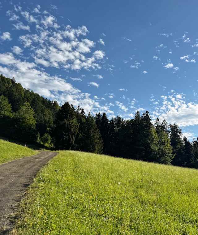 Auf dem Weg zu den Hittisbergalpen